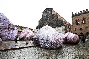Giant Rocks Arrive in Piazza Maggiore - Bologna