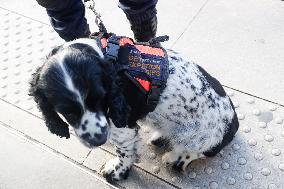 SNCF Illustration de la Police Ferroviaire a la Gare de Lyon
