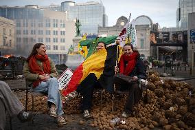 Farmers Protest Ahead Of EU Summit - Brussels
