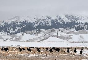 Winter Scenery At Sayram Lake - Xinjiang