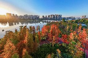 Illustration - Winter Scenery in China