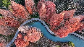 Illustration - Winter Scenery in China