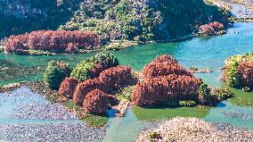 Illustration - Winter Scenery in China