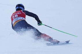 SPORT INVERNALI - Sci Alpino - 2026 Audi FIS Ski World Cup - Men's Downhill