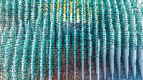 Beer Bottle Forest Scenery in Qingdao