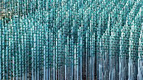 Beer Bottle Forest Scenery in Qingdao