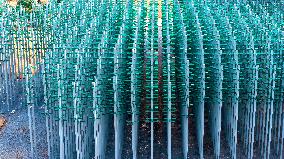 Beer Bottle Forest Scenery in Qingdao