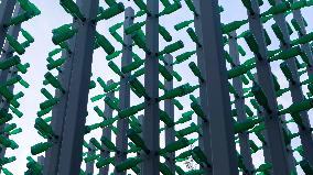 Beer Bottle Forest Scenery in Qingdao