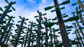 Beer Bottle Forest Scenery in Qingdao
