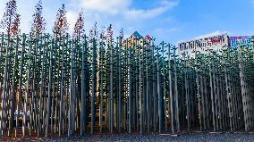 Beer Bottle Forest Scenery in Qingdao