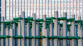 Beer Bottle Forest Scenery in Qingdao