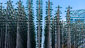 Beer Bottle Forest Scenery in Qingdao