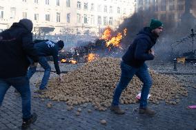Farmers protest to denounce the reforms of the Common Agricultural Policy - Brussels