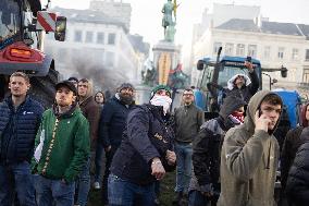Farmers protest to denounce the reforms of the Common Agricultural Policy - Brussels