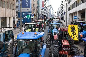 Farmers protest to denounce the reforms of the Common Agricultural Policy - Brussels