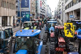 Farmers protest to denounce the reforms of the Common Agricultural Policy - Brussels