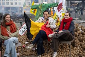 Farmers protest to denounce the reforms of the Common Agricultural Policy - Brussels