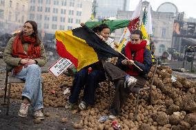 Farmers protest to denounce the reforms of the Common Agricultural Policy - Brussels