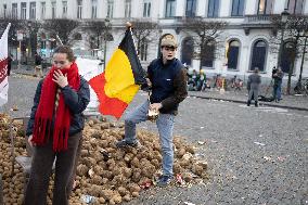 Farmers protest to denounce the reforms of the Common Agricultural Policy - Brussels