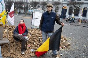 Farmers protest to denounce the reforms of the Common Agricultural Policy - Brussels