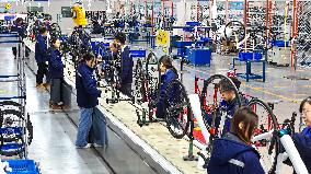 China Manufacturing Industry