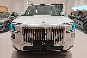 Geely Zeekr New Energy Vhicle