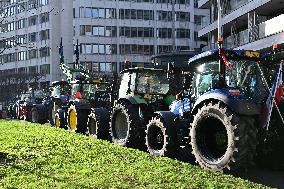 European Farmers Protest - Brussels