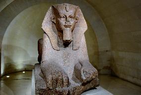 Illustrations - Louvre Museum - Paris