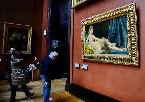 Illustrations - Louvre Museum - Paris