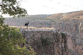 Kurdish Kung Fu Master Kawlokei's Discipline - Iraq