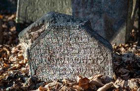 Illustration of Prague