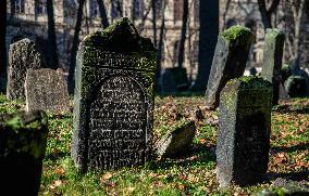 Illustration of Prague