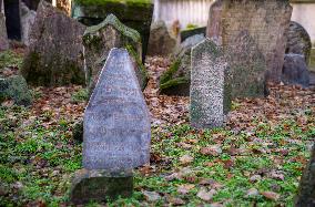 Illustration of Prague