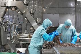 Labor-intensive Enterprises Employment