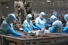 Labor-intensive Enterprises Employment