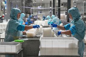 Labor-intensive Enterprises Employment