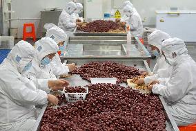 Labor-intensive Enterprises Employment