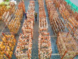 Cured Meat Manufacturing in Anqing