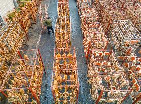 Cured Meat Manufacturing in Anqing