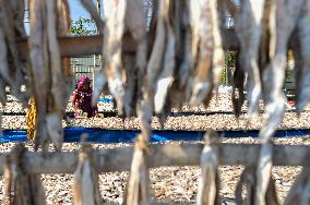 Workers Processing Dried Fish in Chattogram - Bangladesh