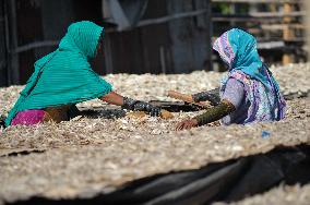 Workers Processing Dried Fish in Chattogram - Bangladesh