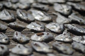 Workers Processing Dried Fish in Chattogram - Bangladesh