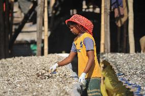 Workers Processing Dried Fish in Chattogram - Bangladesh