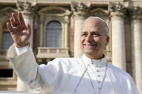 Pope Leo XIV Leads Jubilee Audience - Vatican