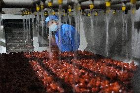 Health Food Industry