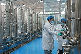 Health Food Industry