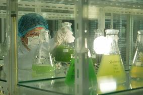 Health Food Industry