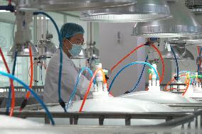 Health Food Industry