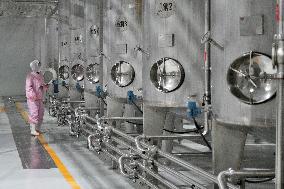 Health Food Industry