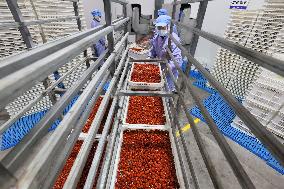 Health Food Industry